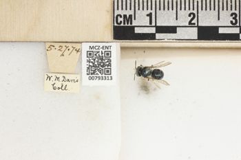 Media type: image;   Entomology 793313 Aspect: Labels